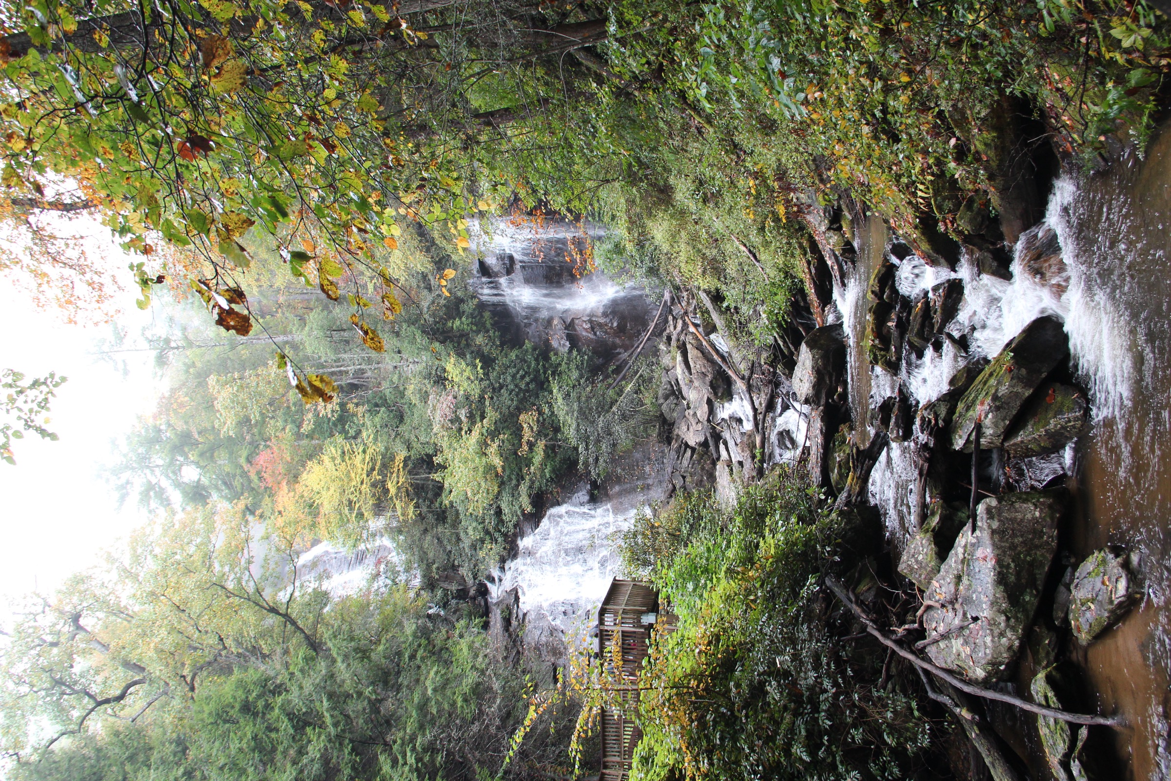 Anna Ruby Falls in summer or green-season visit