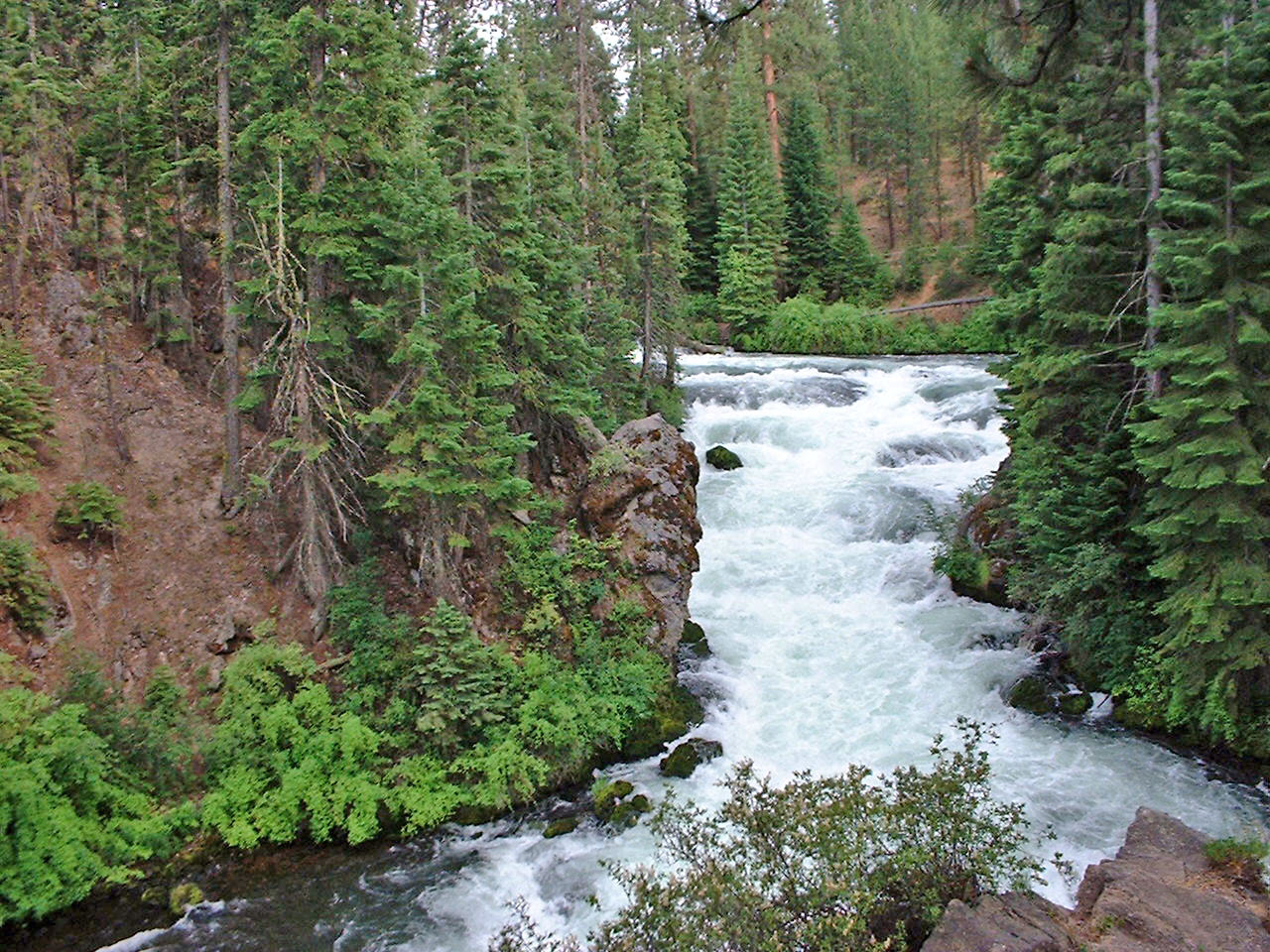 Benham Falls waterfall view