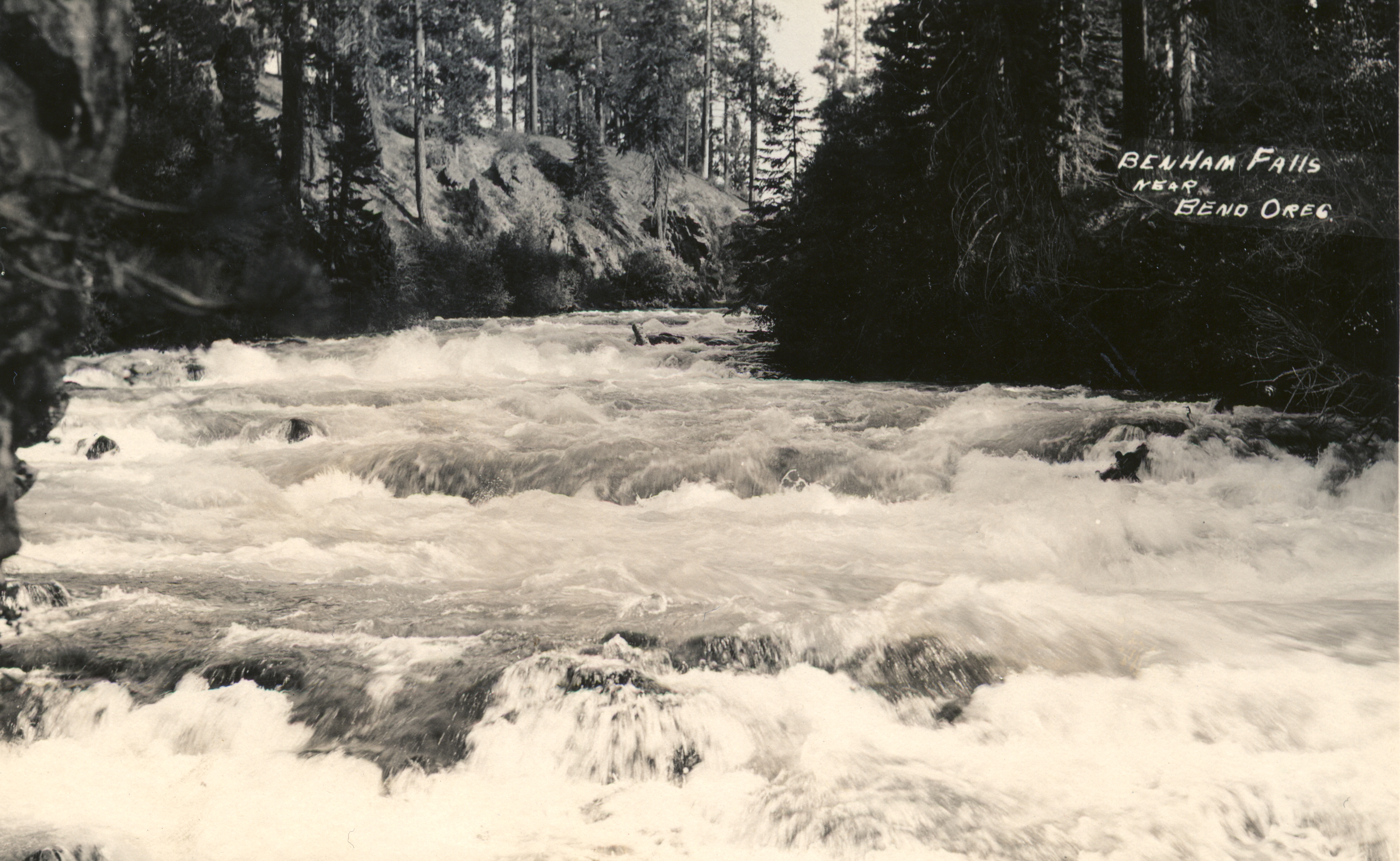 Benham Falls in spring or higher-flow season