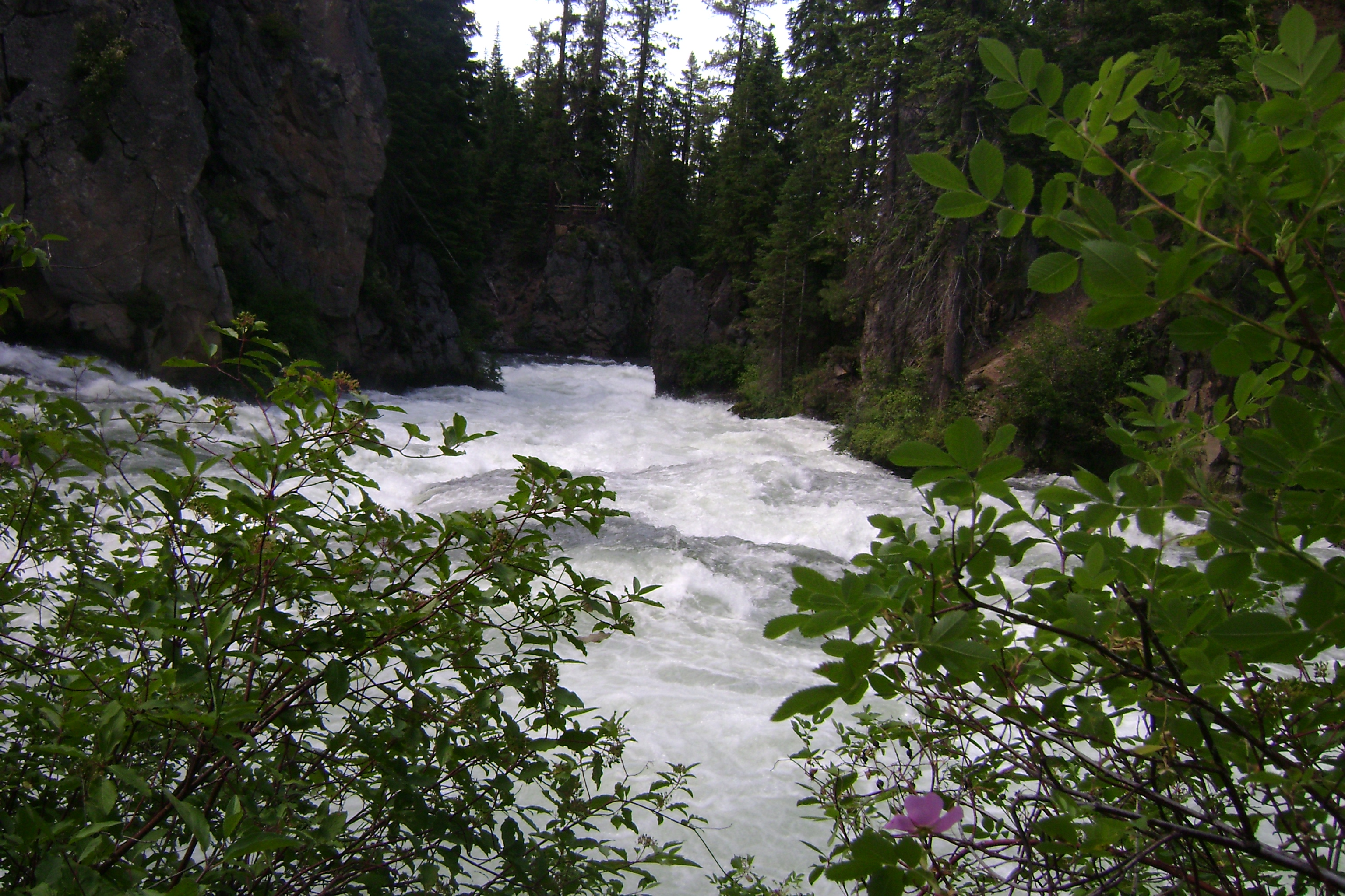 Benham Falls in summer or green-season visit