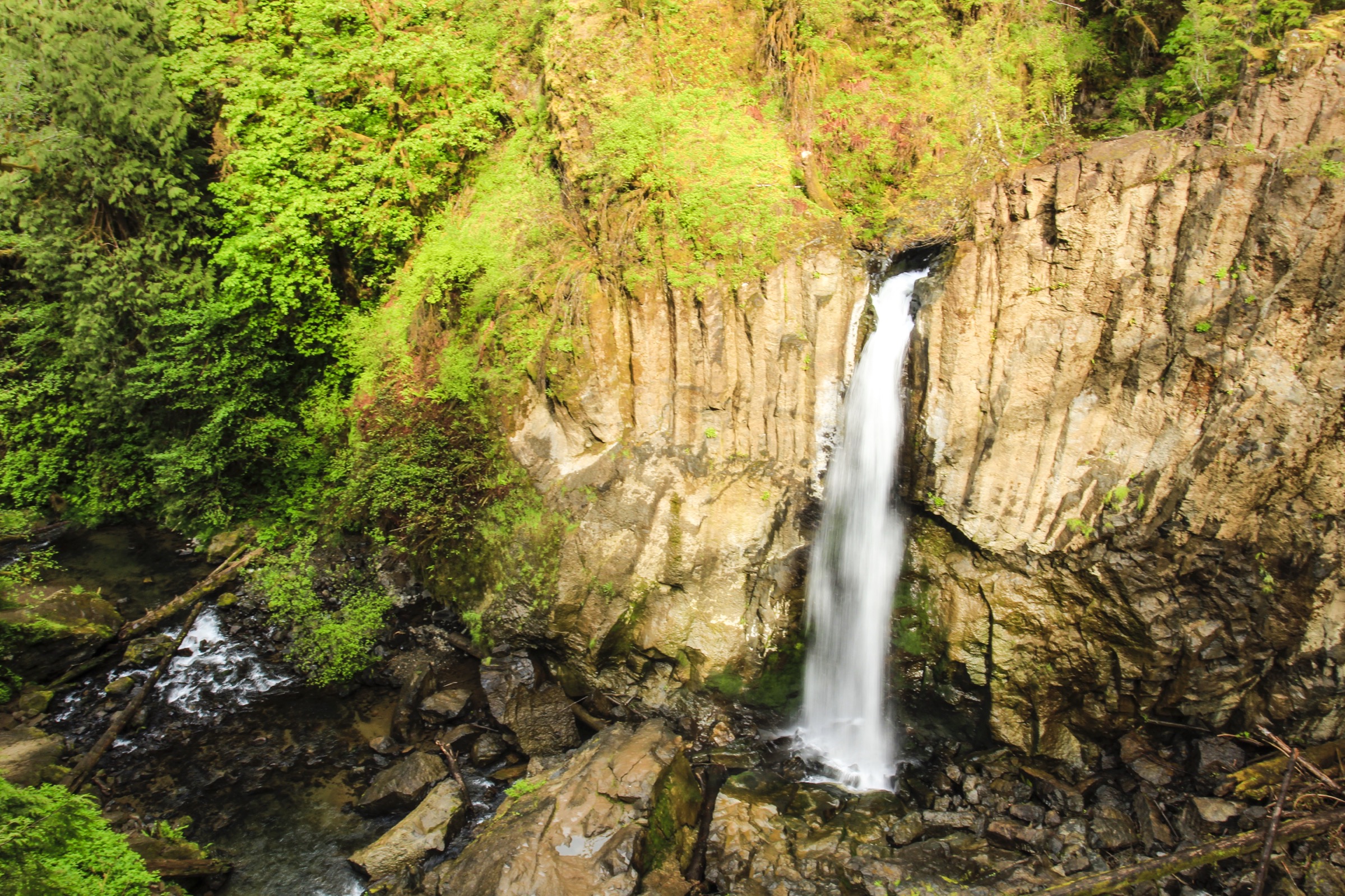 Drift Creek Falls waterfall in Lincoln County, Oregon