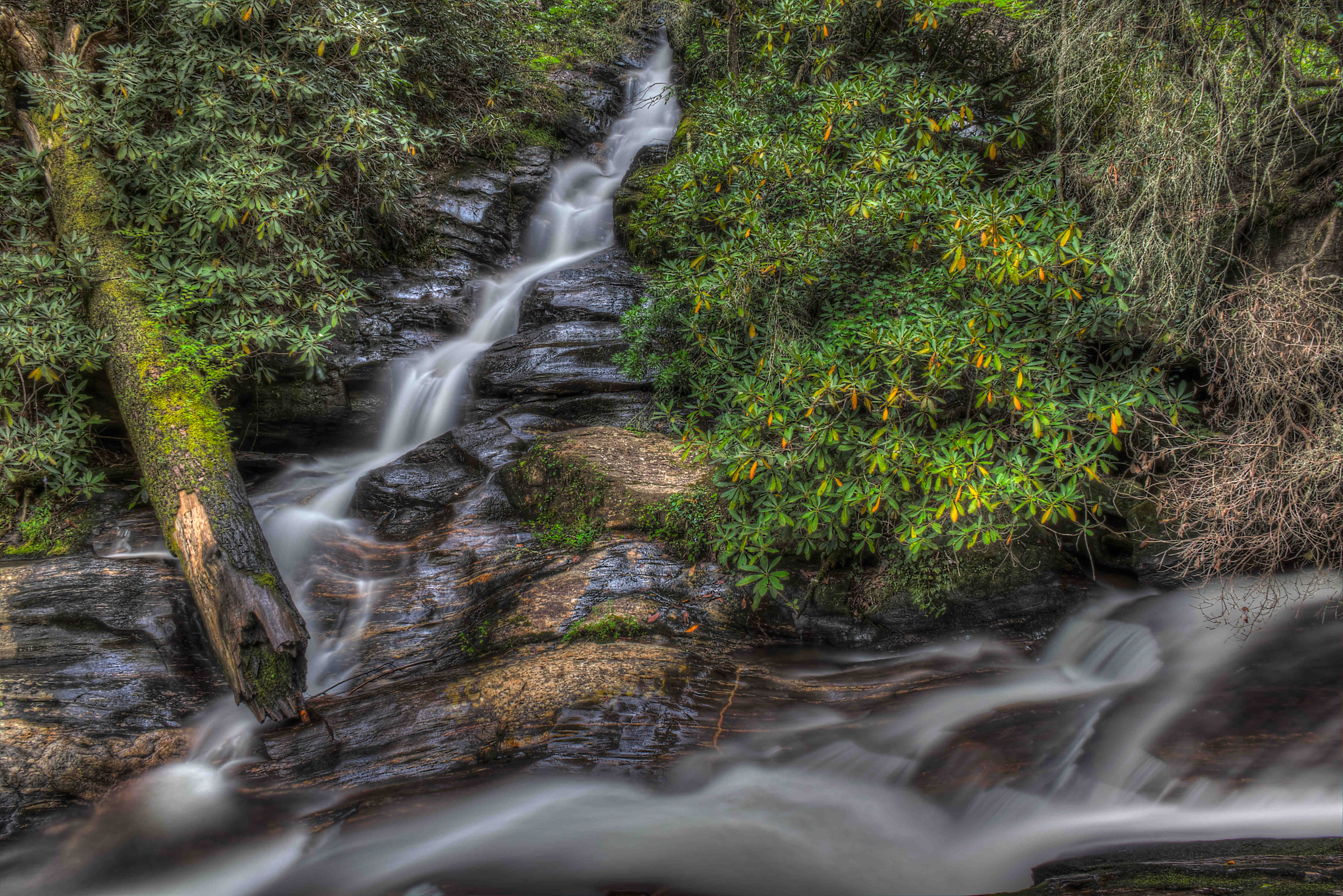 Dukes Creek main view of dukes creek