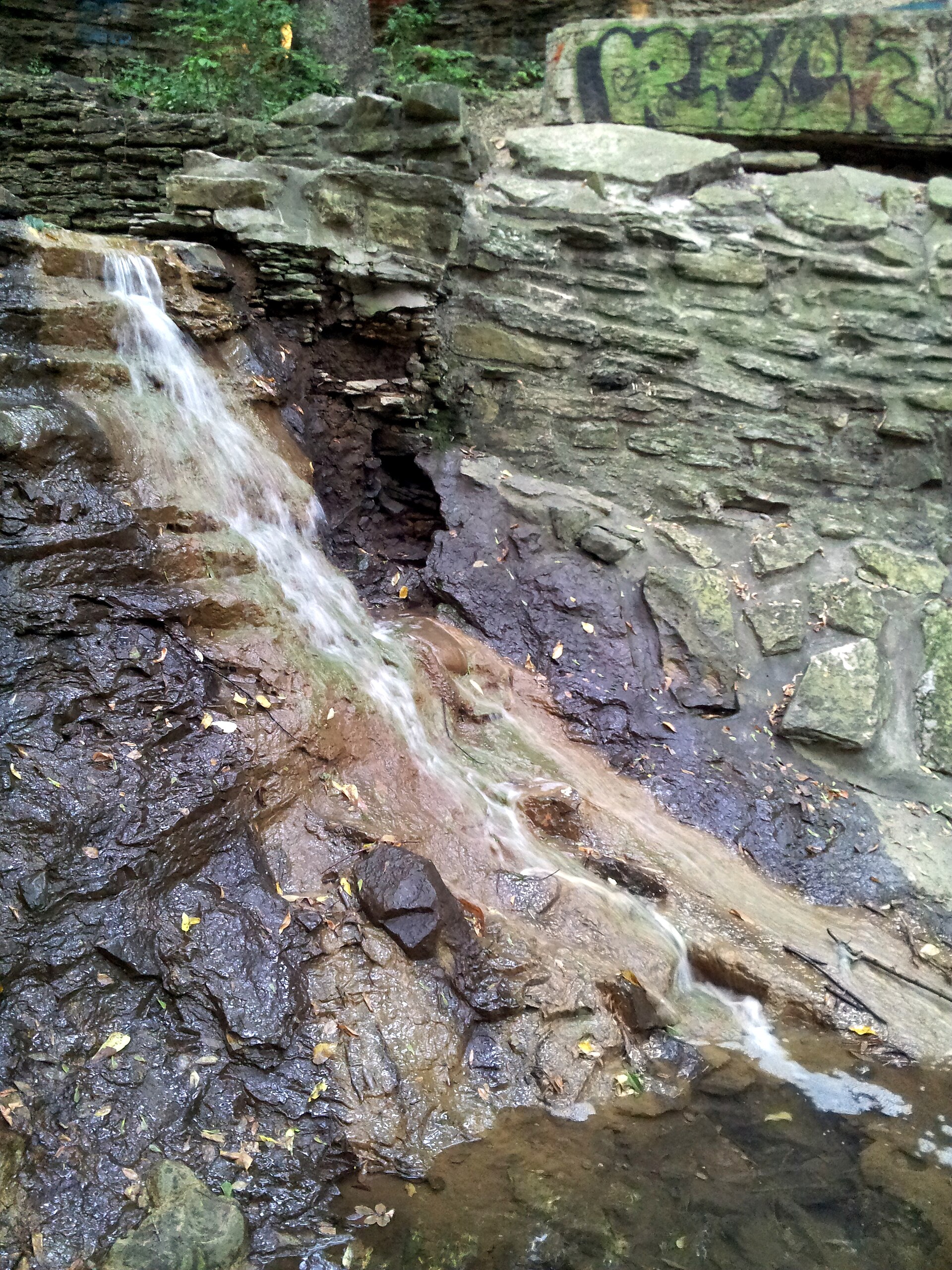 Hidden Falls Lower cascade and layered rock