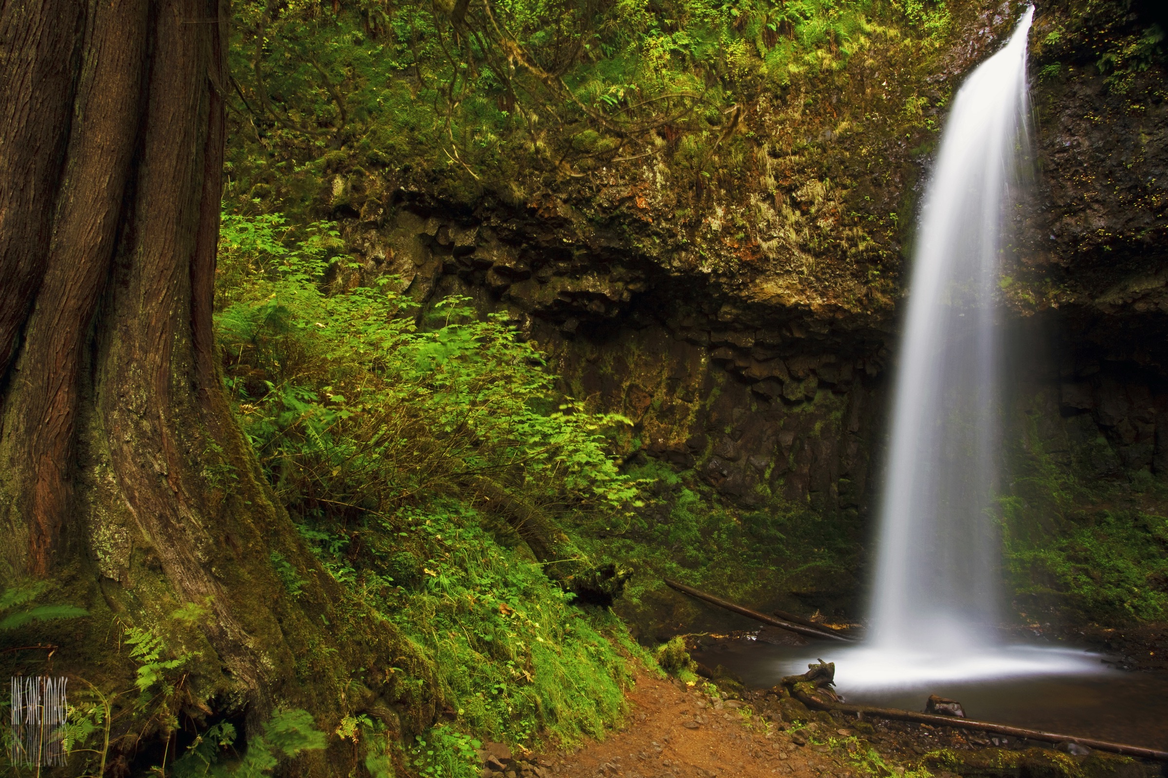 Latourell Falls waterfall in Multnomah County, Oregon