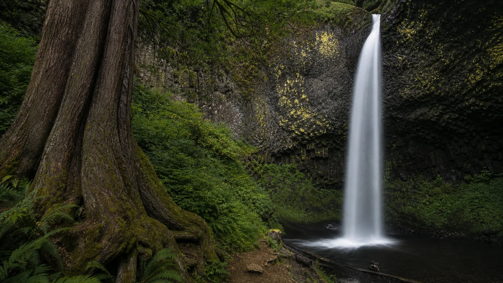 Latourell Falls waterfall guide