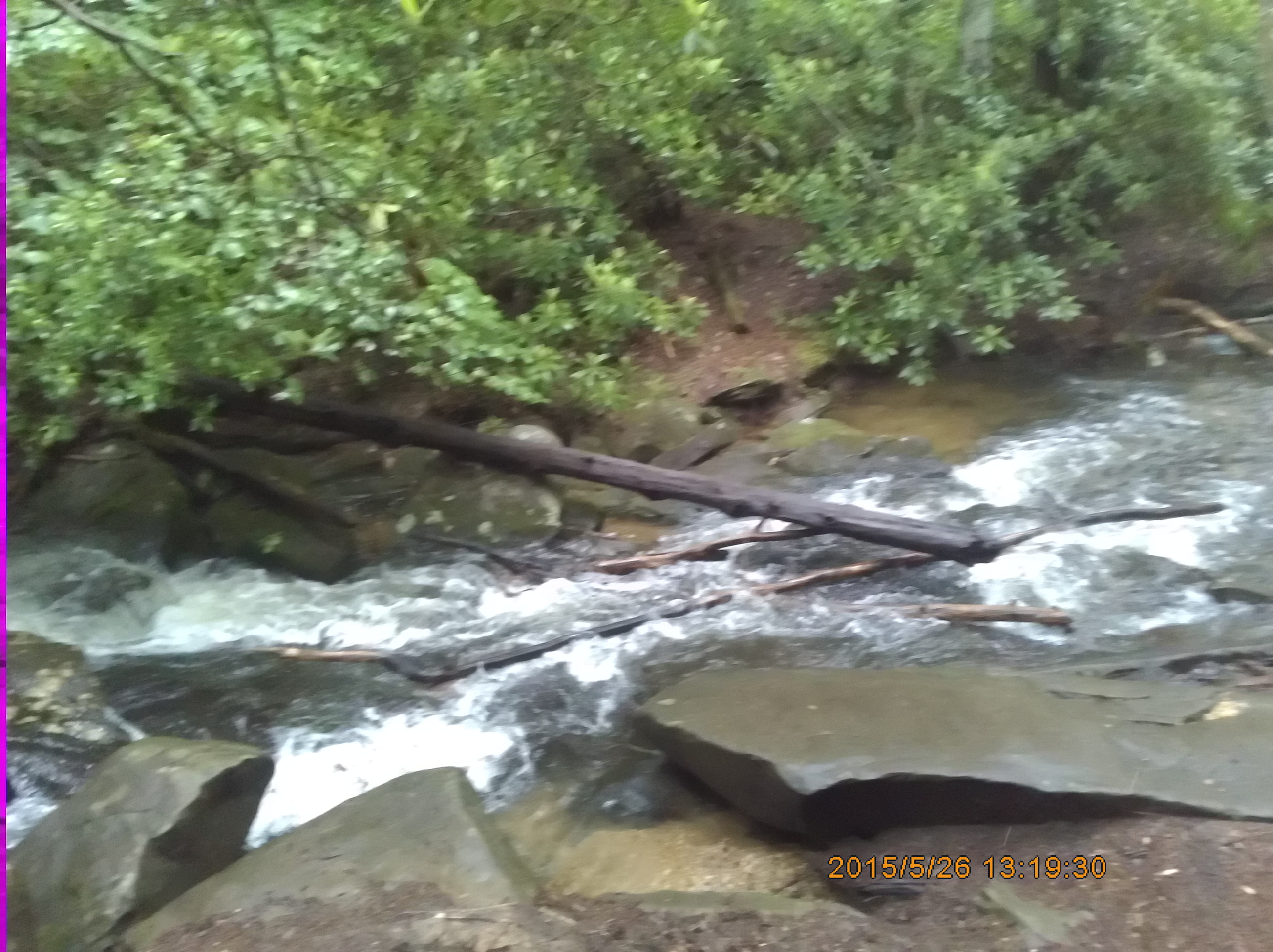 Long Creek Falls Long Creek Falls creek and rhododendron