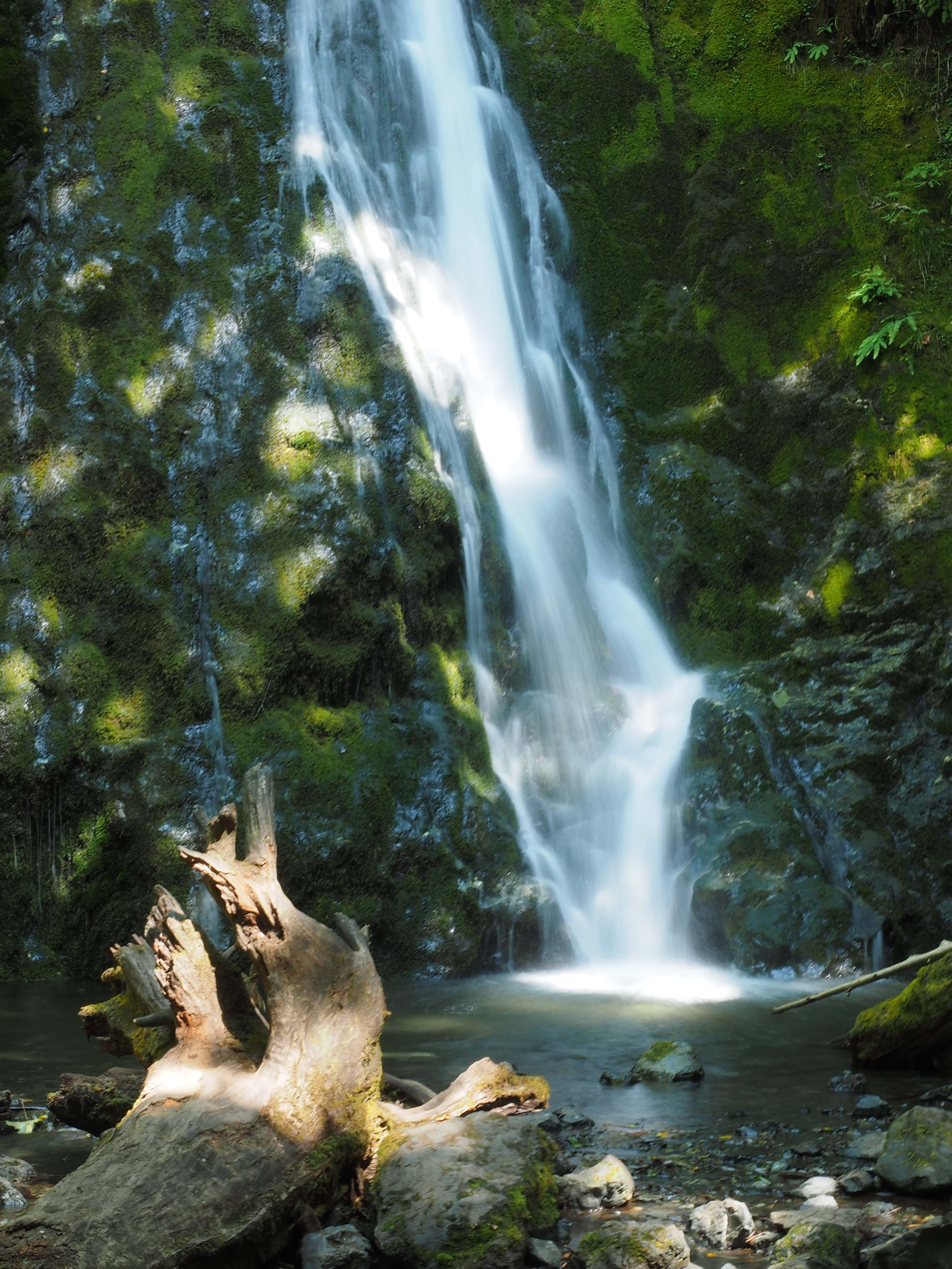 Madison Creek Falls waterfall near Port Angeles, Washington