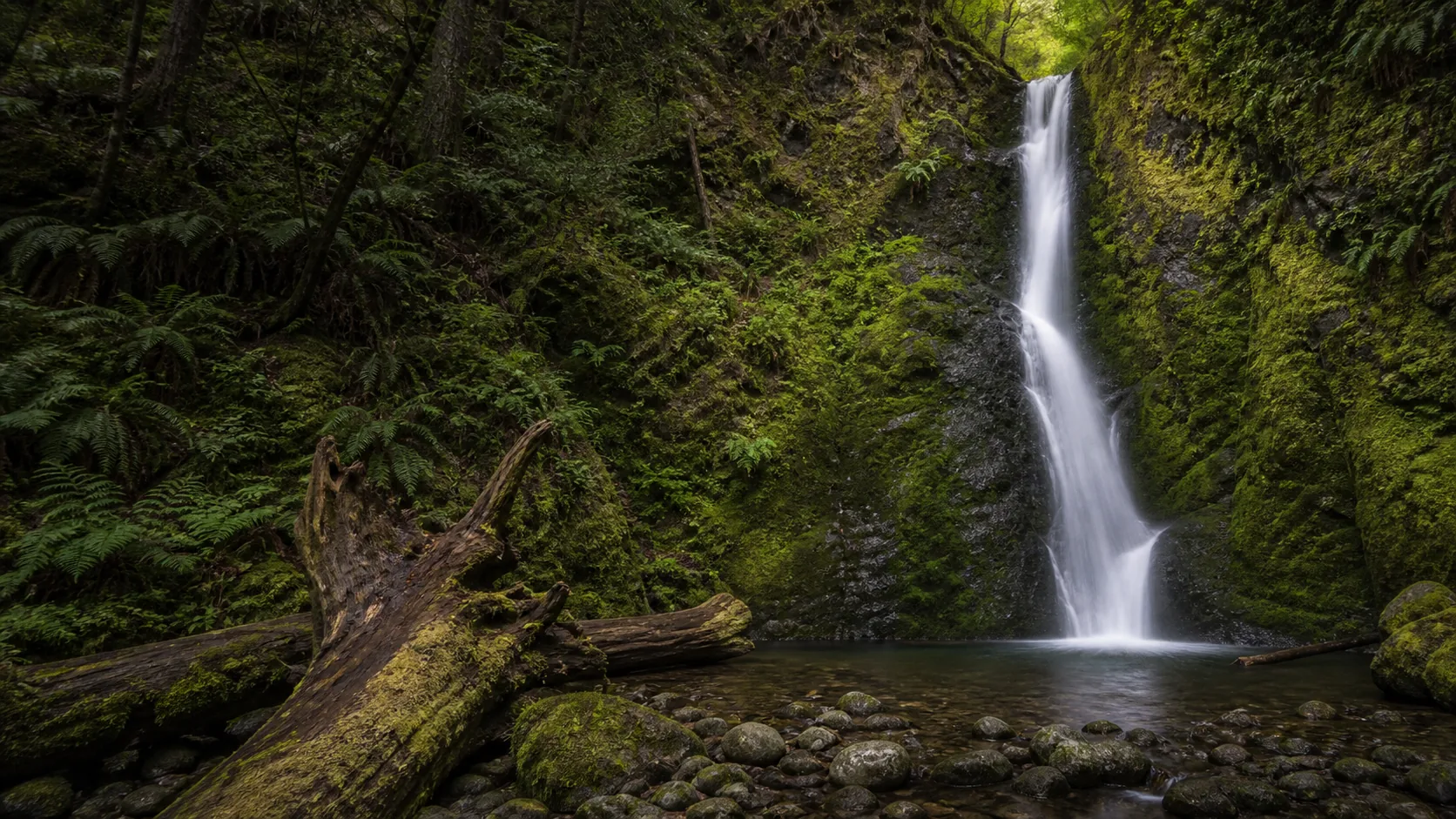 Madison Creek Falls