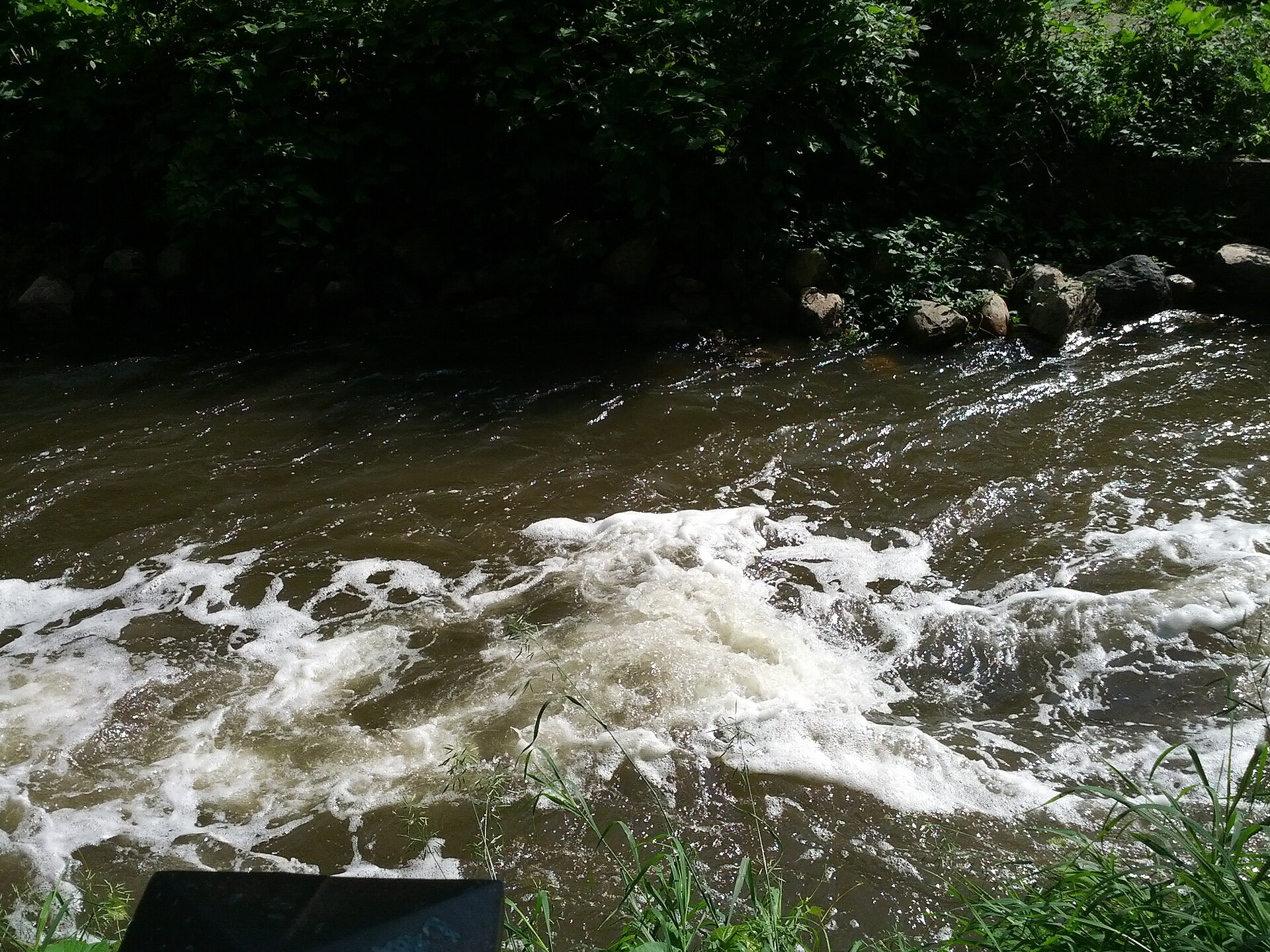 Live view of Minnehaha Creek above the falls