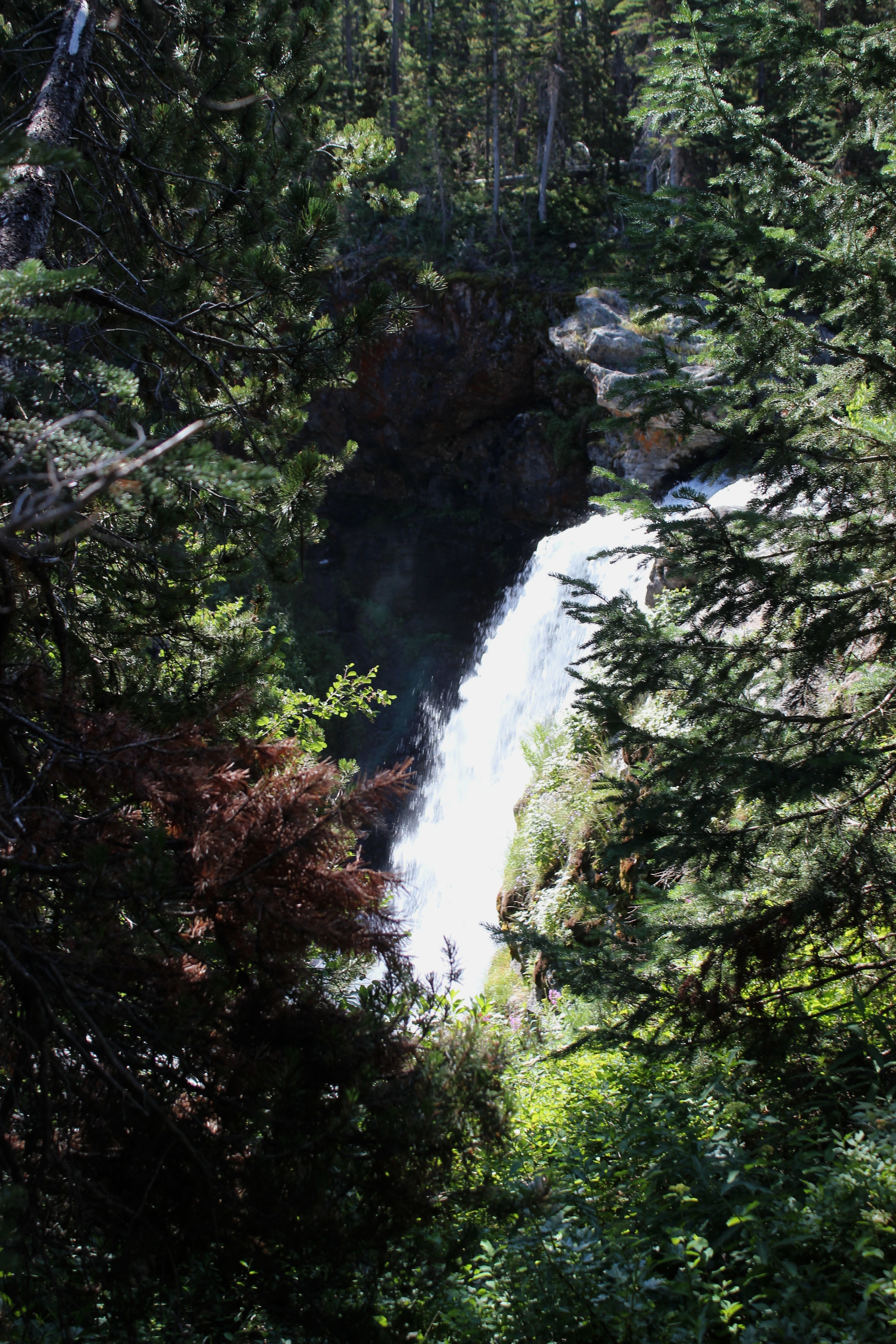 Moose Falls in summer or green-season visit