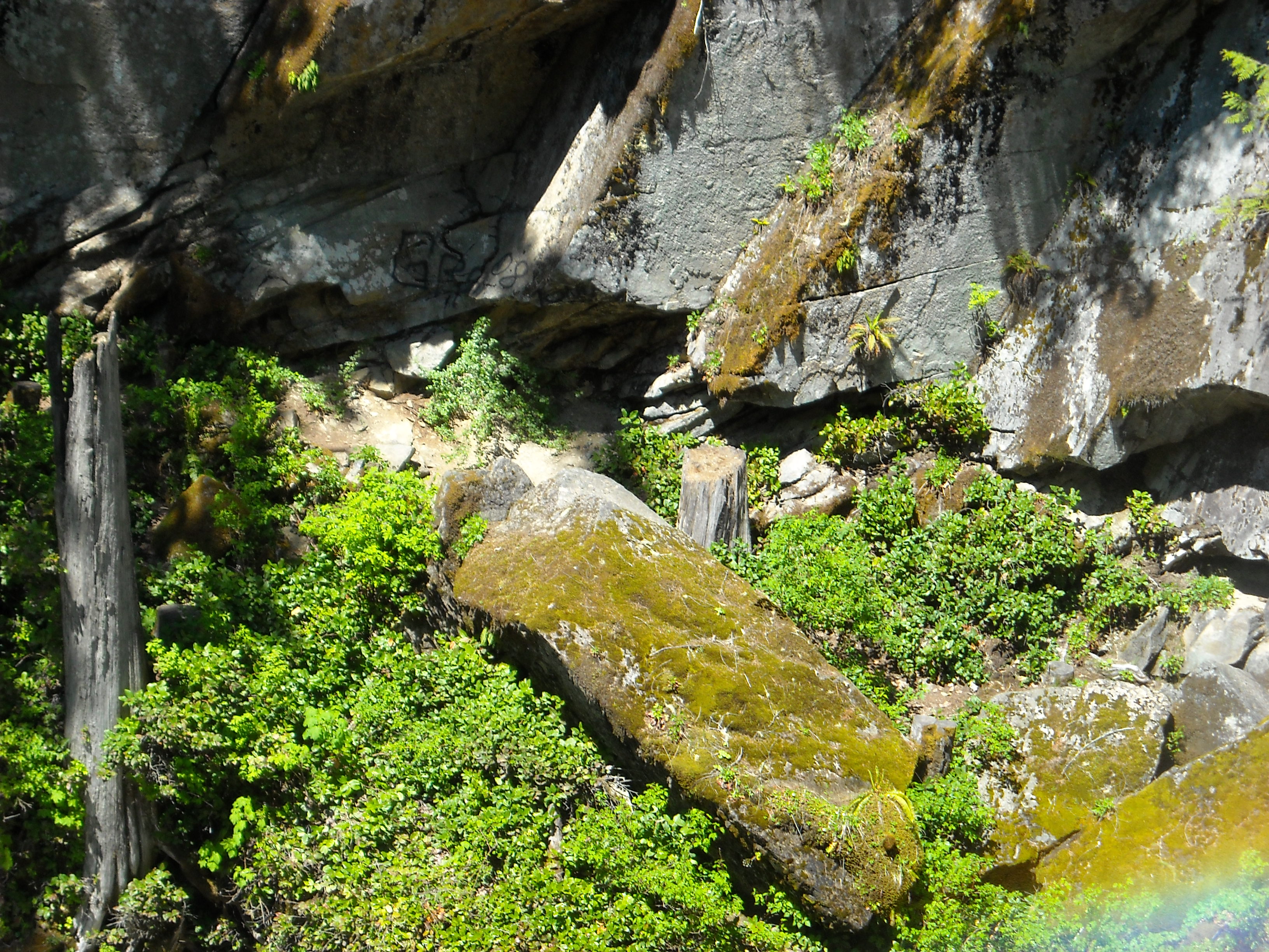 Nooksack Falls in summer or green-season visit