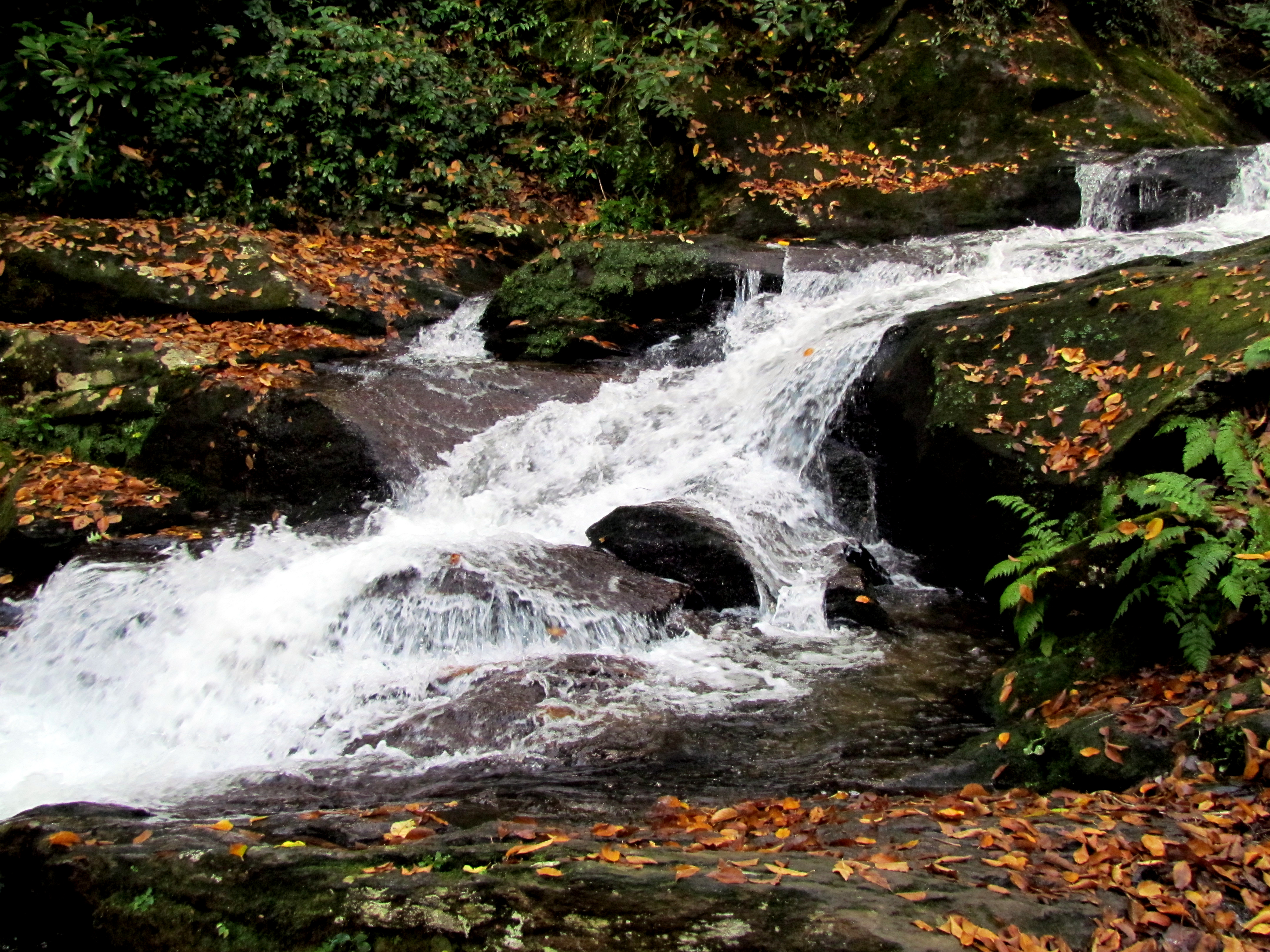 Roaring Fork Falls waterfall view