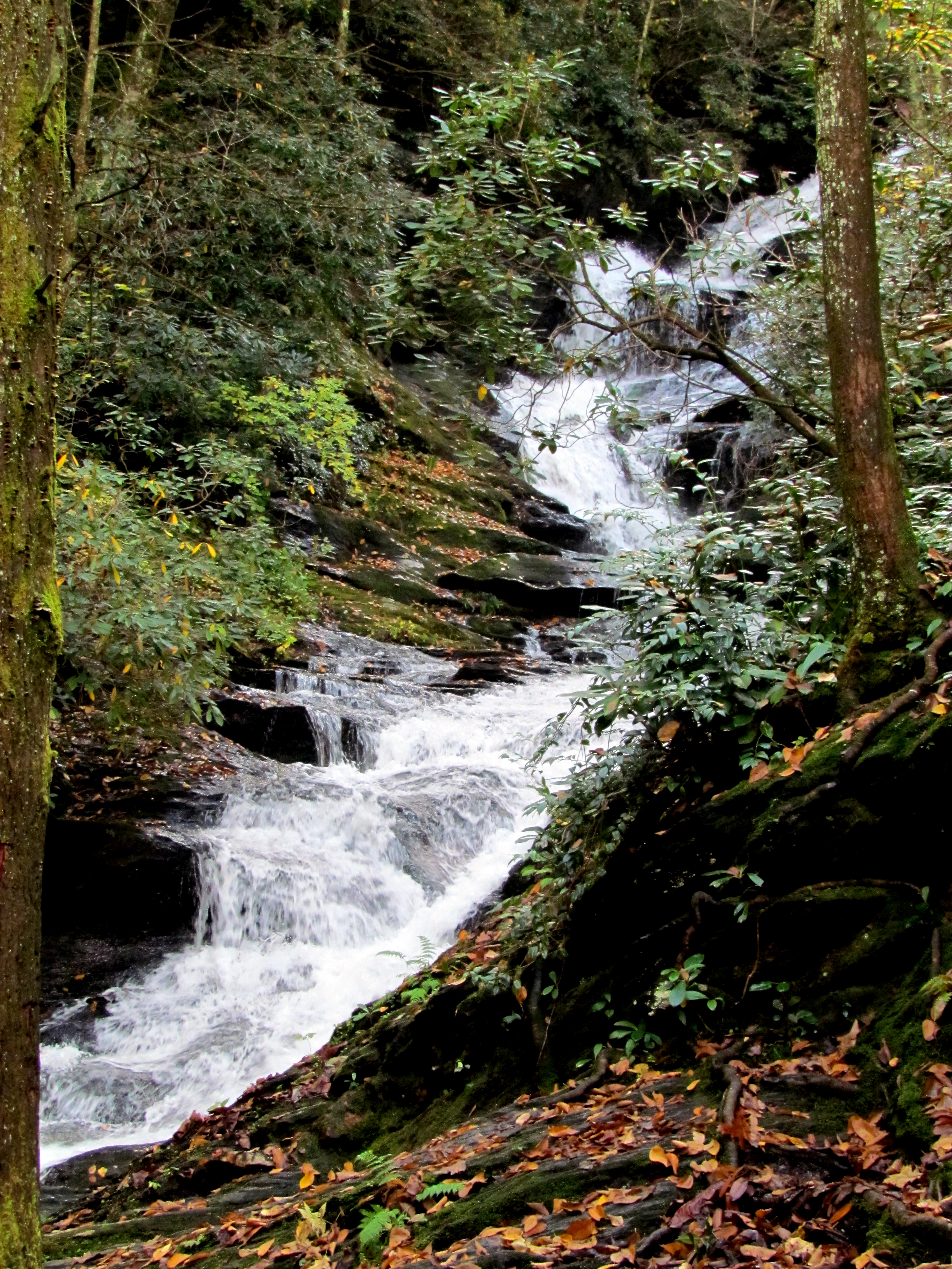 Roaring Fork Falls waterfall in Yancey County, North Carolina