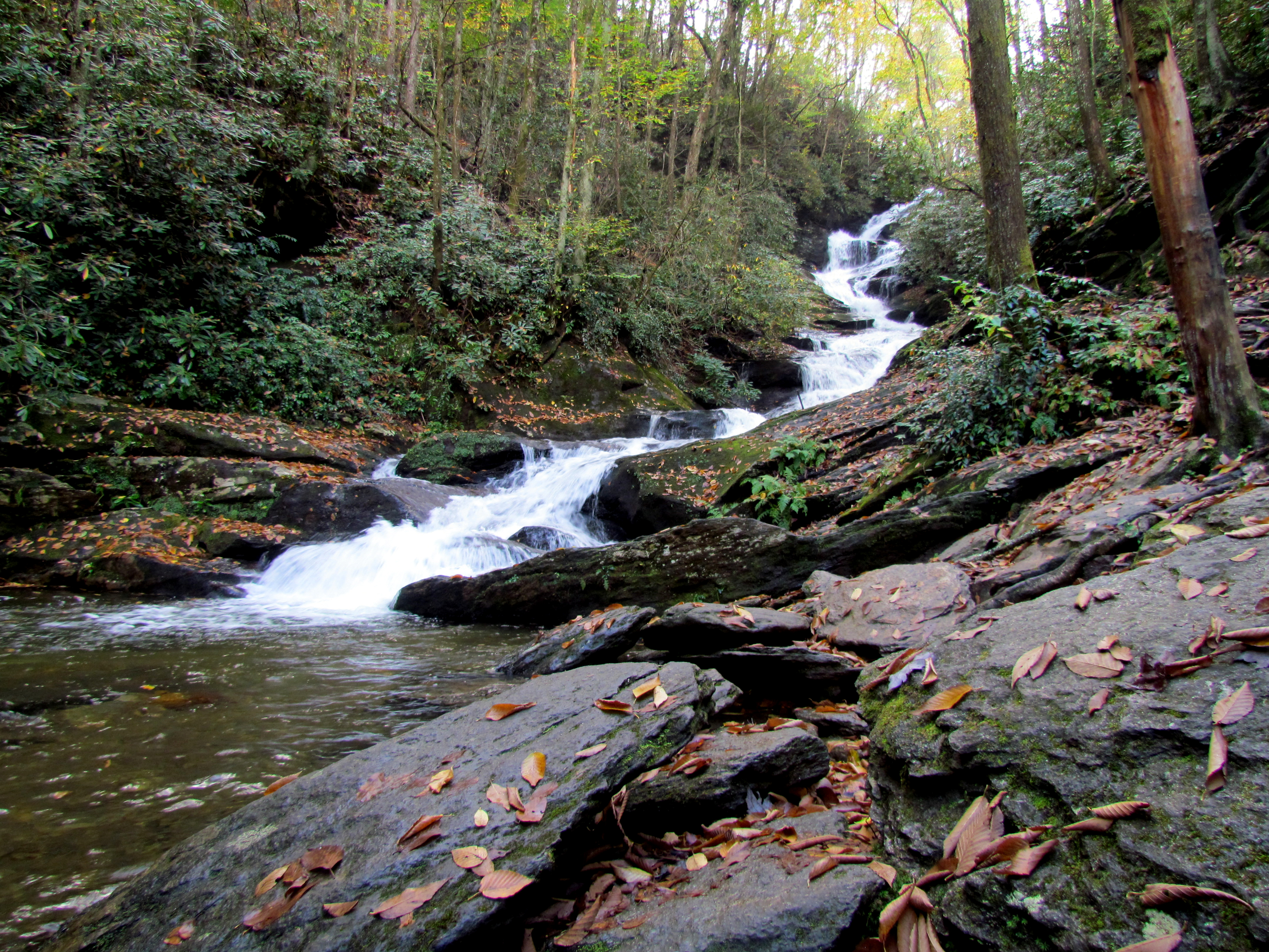 Roaring Fork Falls in winter or off-season conditions