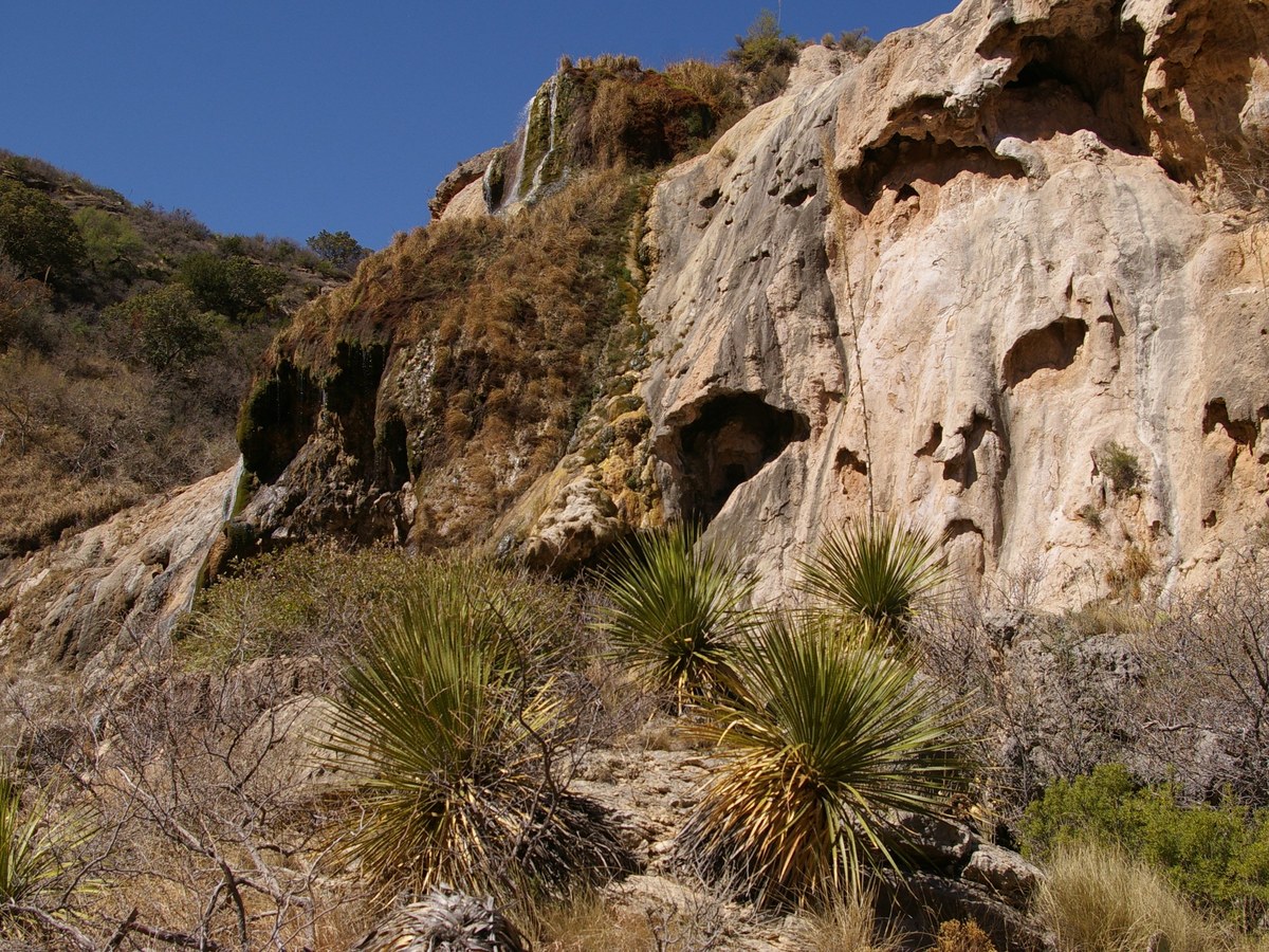 Wide desert canyon wall around Sitting Bull Falls