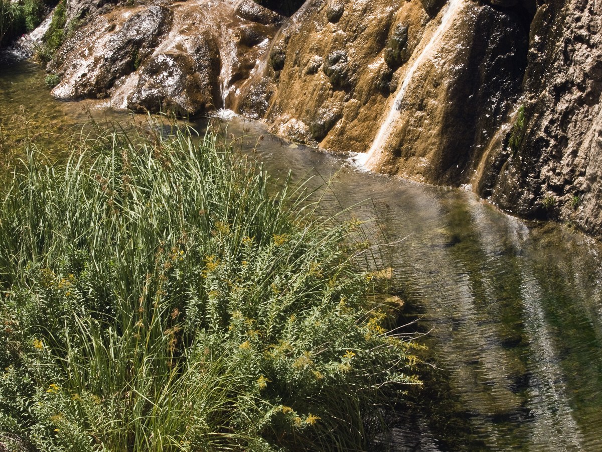 Sitting Bull Falls pool in bright desert light