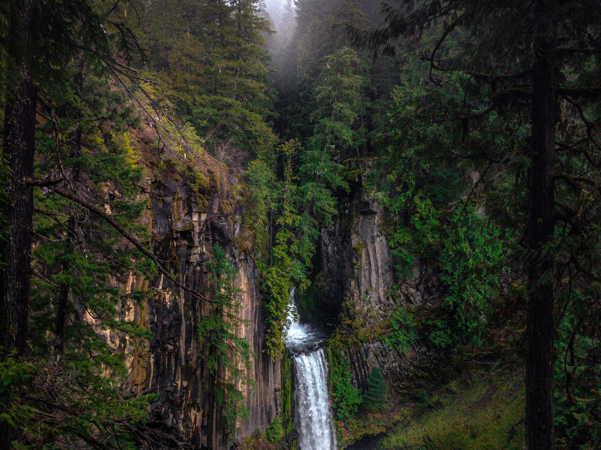 Toketee Falls in autumn from the overlook