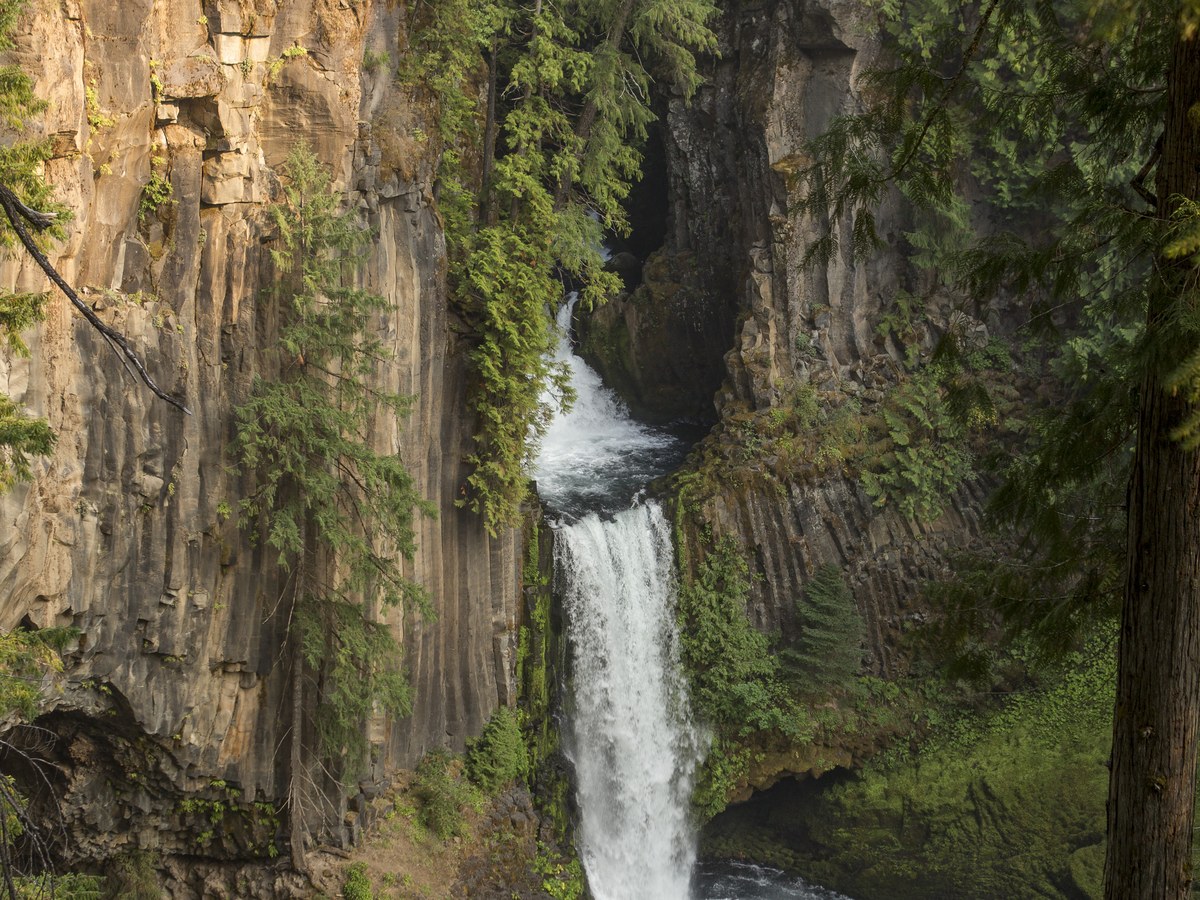Toketee Falls plunging beside a sheer wall of columnar basalt