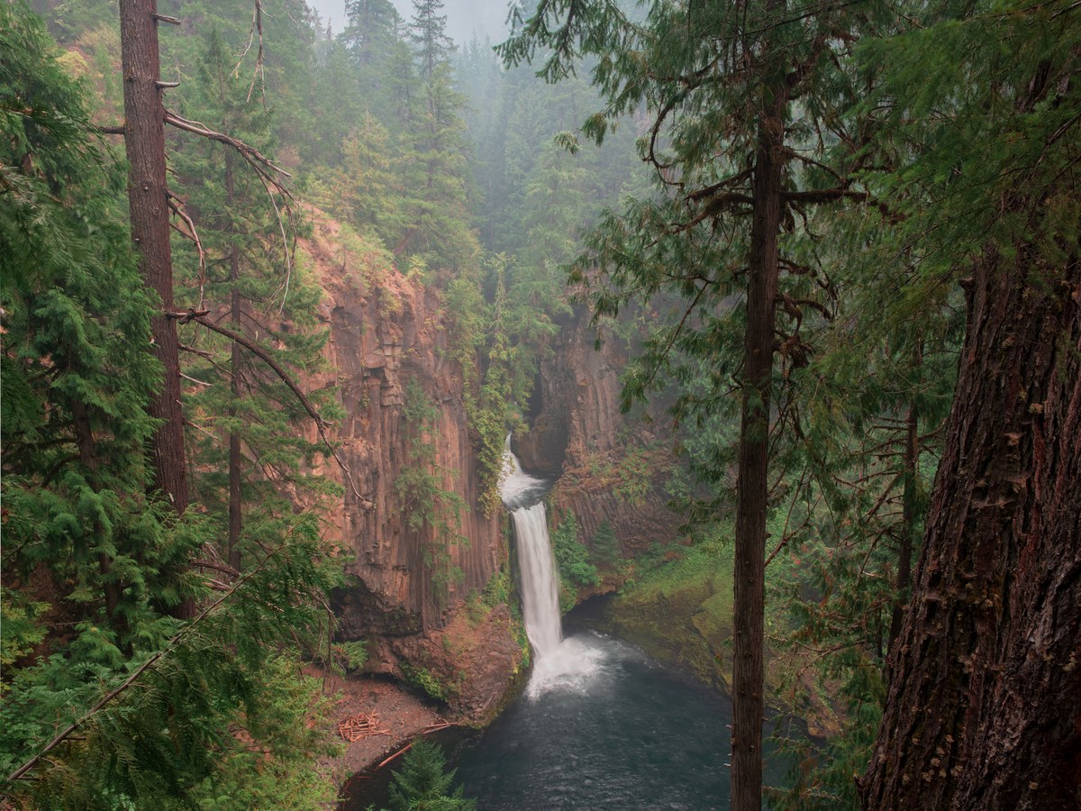 Toketee Falls framed by forest and gorge walls