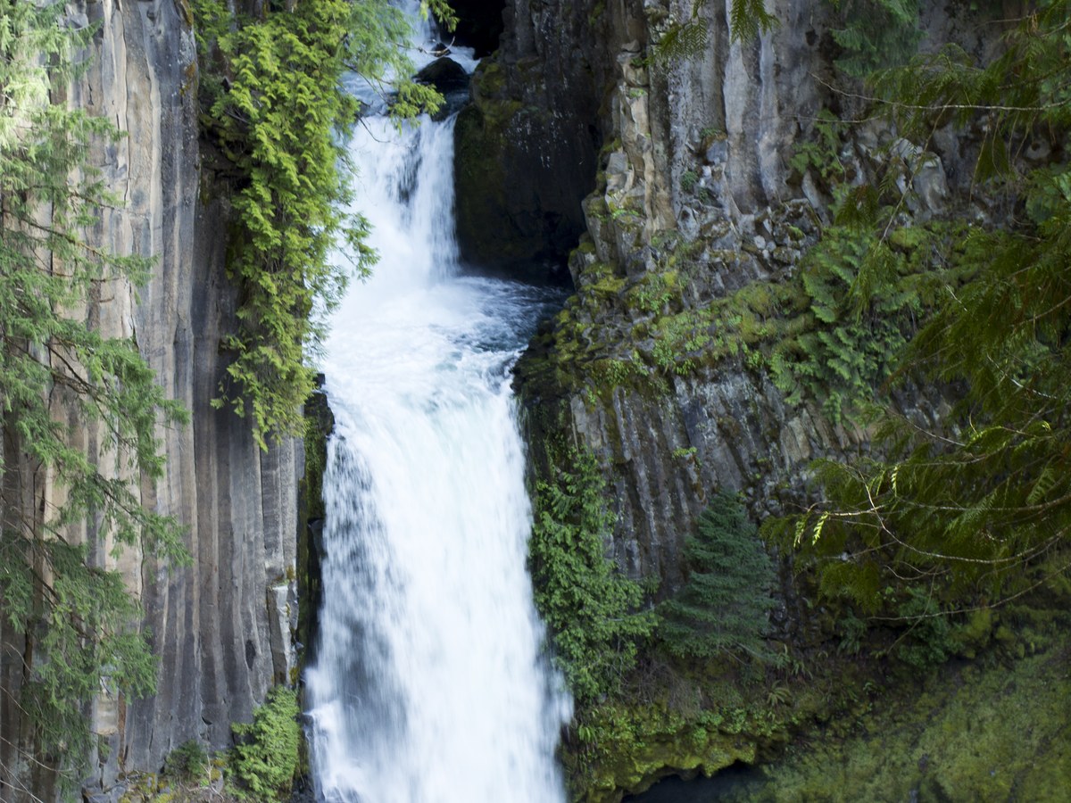 Toketee Falls in summer forest light