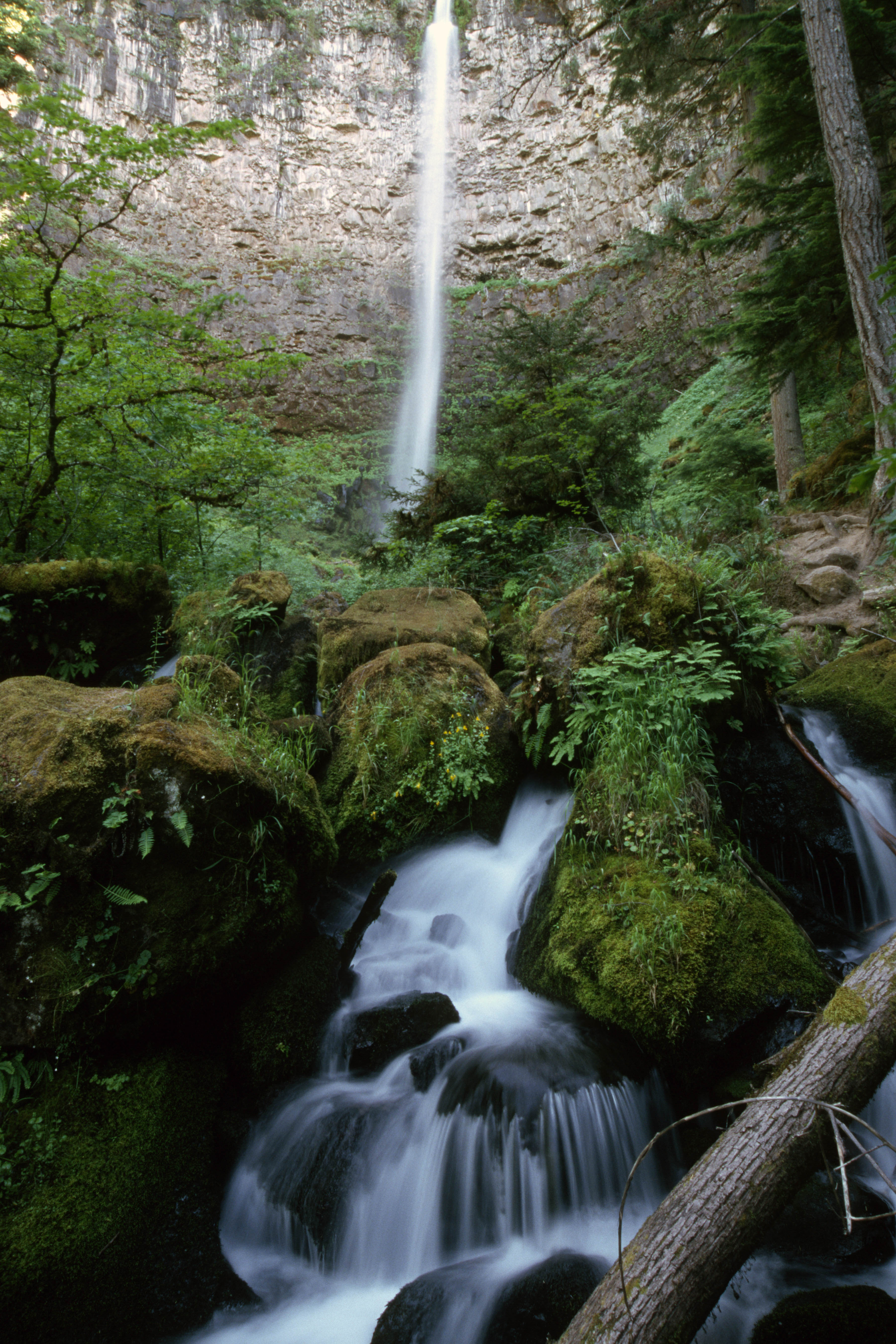 Watson Falls in summer or green-season visit